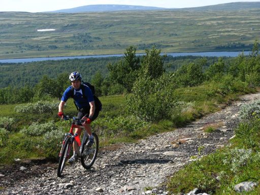 Sykling. Foto: Øyvind Wold Sykling. Foto: Øyvind Wold