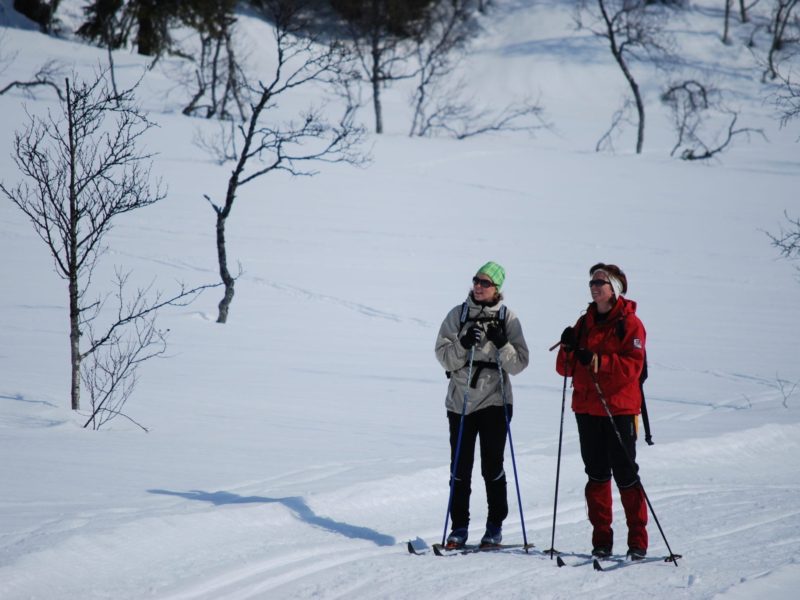 Skigåere i Ålen Foto Håvar Sørdal Skigåere i Ålen Foto Håvar Sørdal
