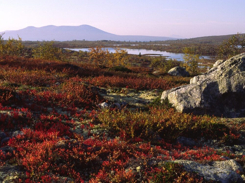 Ut på tur Foto: Peter Møllenkamp) Ut på tur