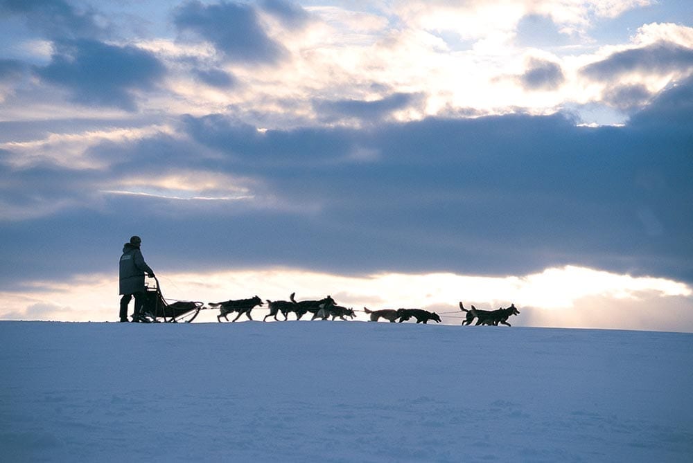 Hundekjøring med Alaskan Husky Tours. Foto: Arne Tønset