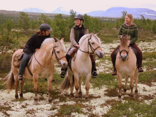 3 damer og hest 3 damer og hest