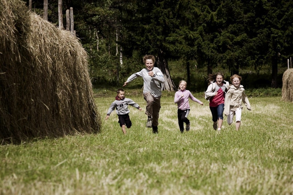 Mountain farm life, Vingelen. Photo: Tom Gustavsen