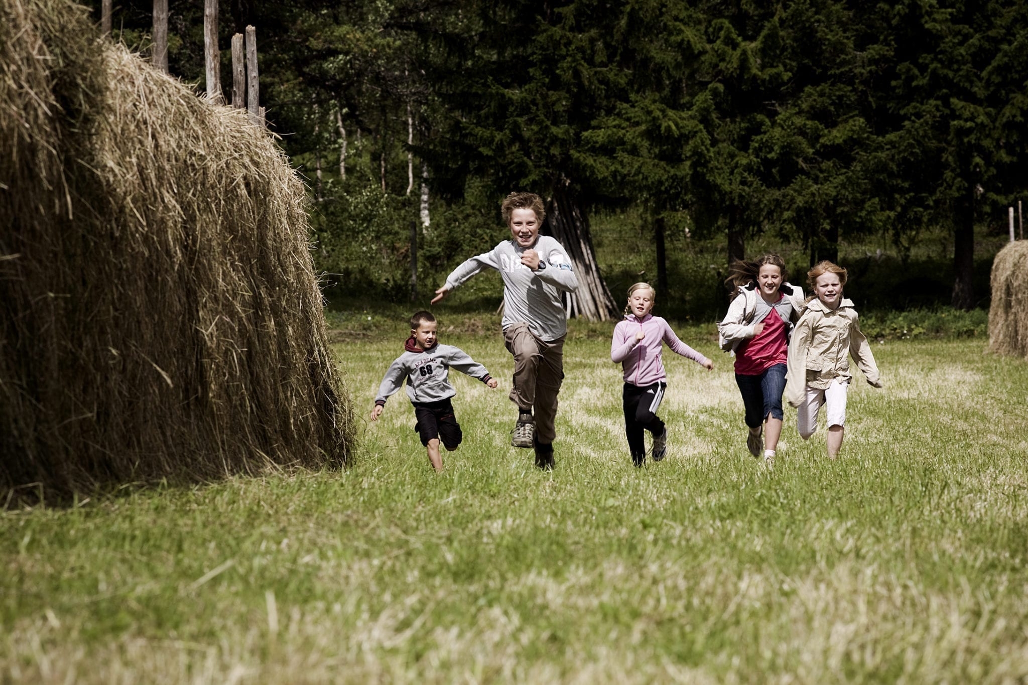 Mountain farm life, Vingelen. Photo: Tom Gustavsen
