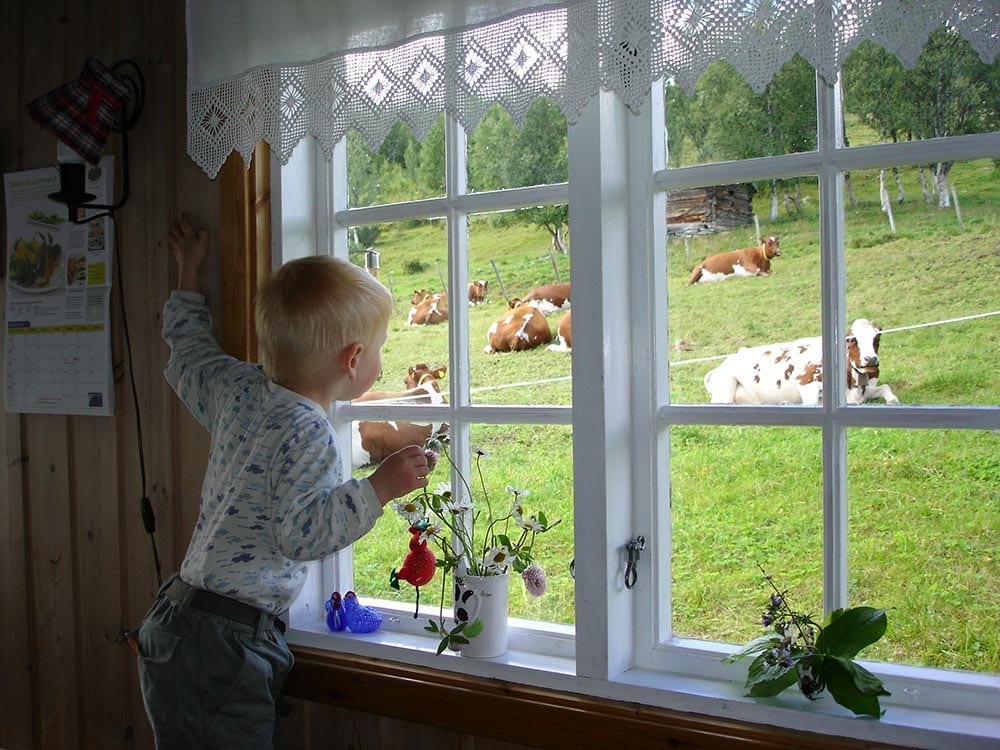 Mountain Farms. Foto: Hege Hovd