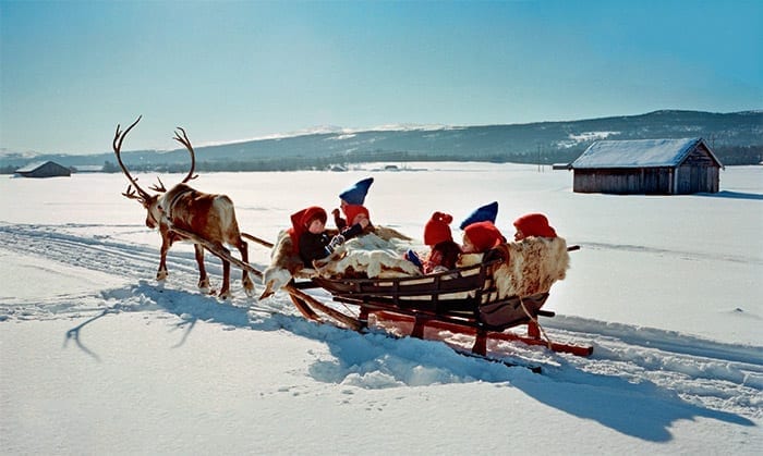 Reinsdyr og slede på Røros. Foto: The Daily Telegraph