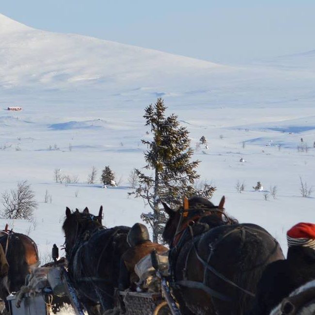 Fron Lasskjørerlag Rørosmartnan