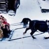 Sleigh ride_Foto: Thomas Rasmus Skaug / Dagbladet