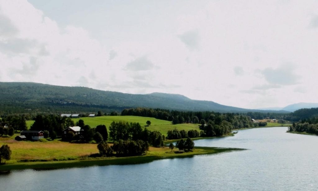 Sommer videokort 2014