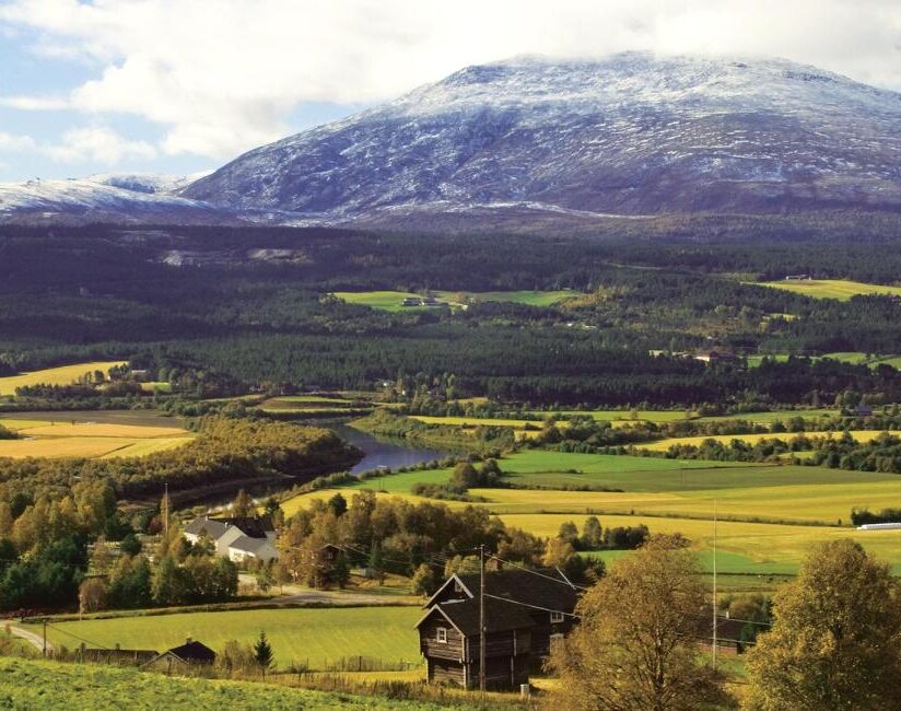 tynset_DSC_6825 tynset_DSC_6825