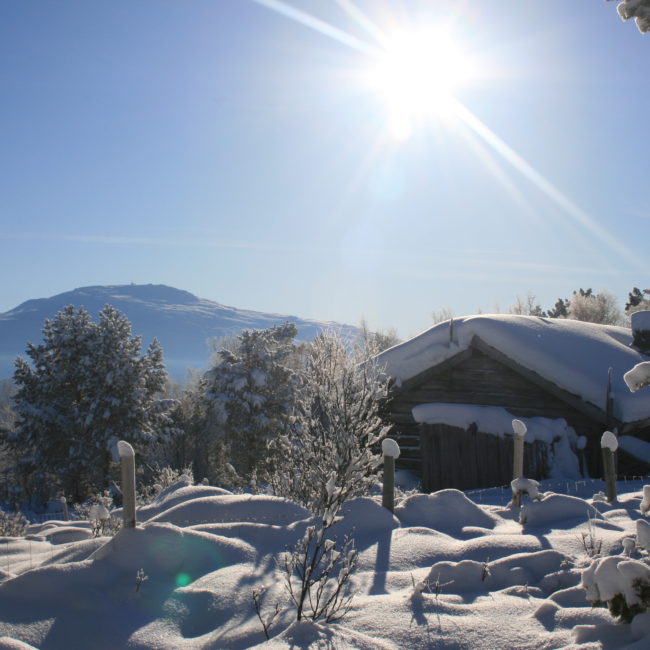 roeskaasen-med-tronfjell-i-bakgrunnen-2-foto-gunhild-eidsaune-bakken http://www.roros.no/opplev-vinteren-roerosregionen/