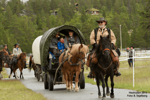 Hestivalen arrangeres av Savalen Hestesenter hvert år. I 2015 deltok over 100 personer med hver sin hest. Foto: B. Skjølberg