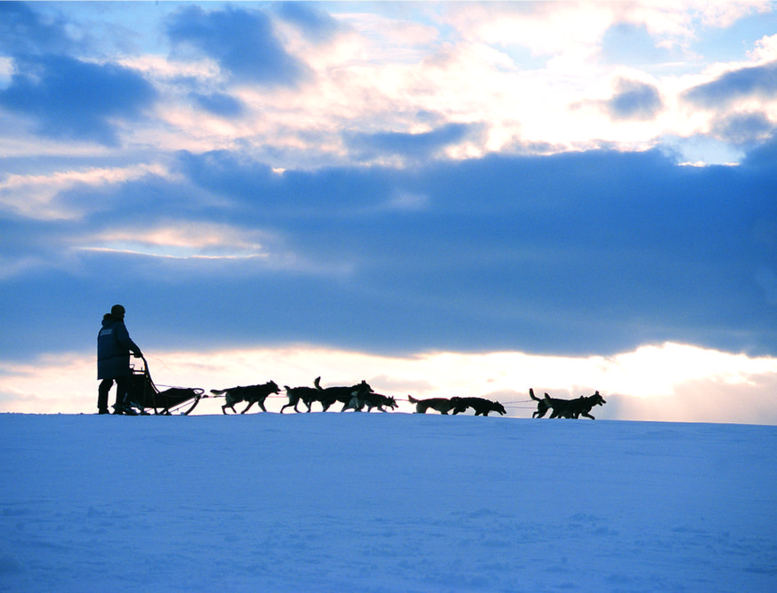 Føl roen på fjellen bak hundespannet. Foto: Arne Tønset