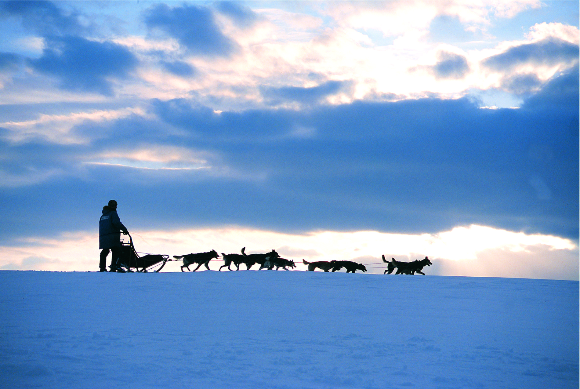 Føl roen på fjellen bak hundespannet. Foto: Arne Tønset