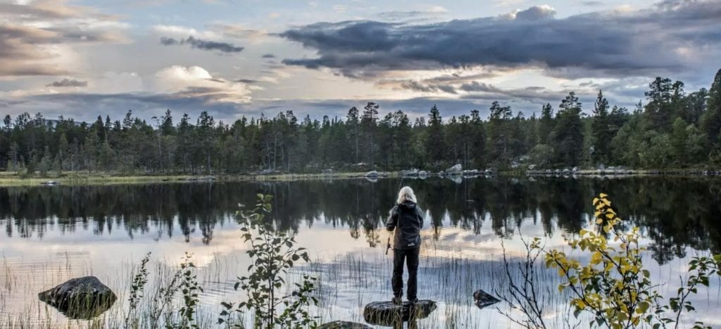 Femundsmarka. Foto: Thomas Rasmus Skaug / Visitnorway.com