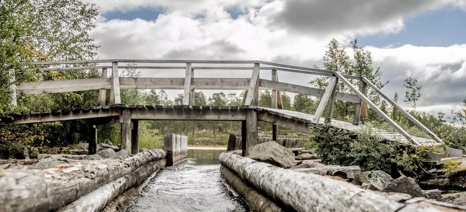 Femundsmarka. Foto: Thomas Rasmus Skaug / Visitnorway.com