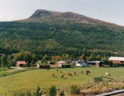 Langodden Gård Langodden Gård