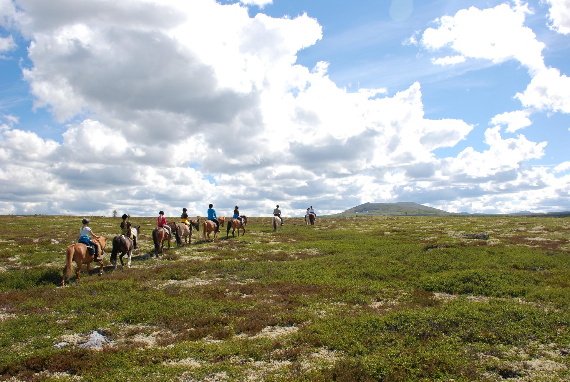 Rendalen Fjellridning