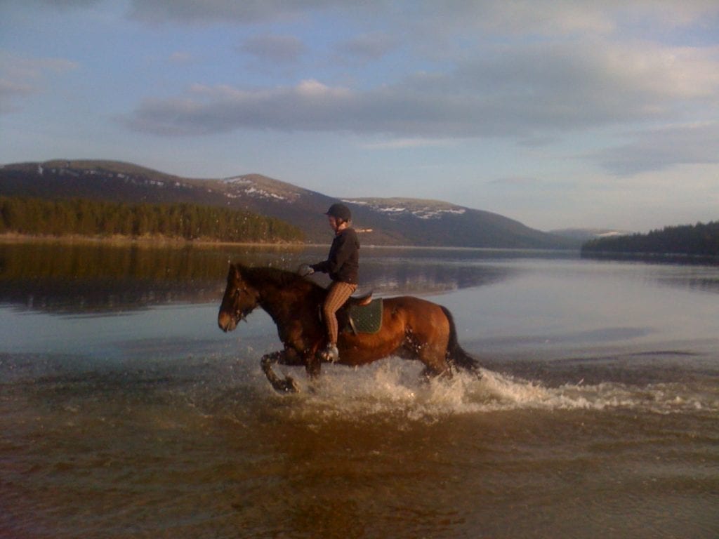 Ridning i vannet med Savalen hestesenter