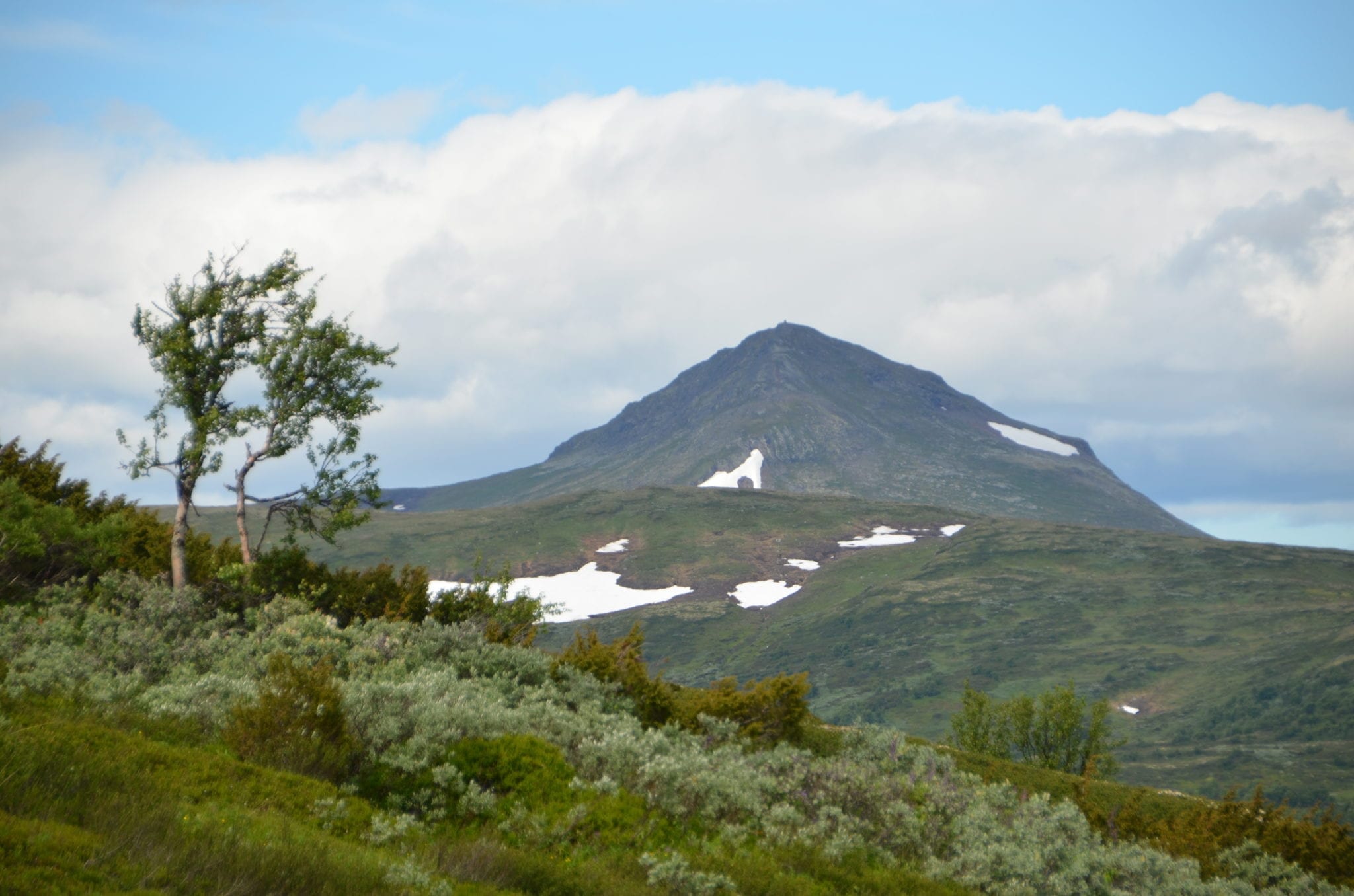 Forollhogna - Foto Arnfinn Nergård