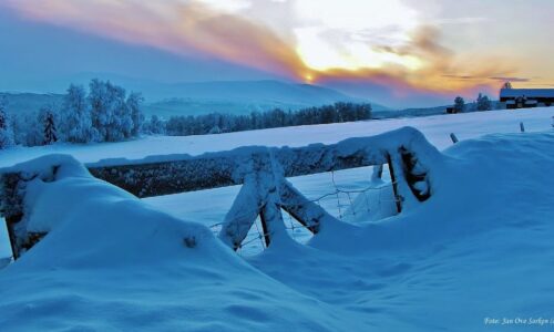 Blue Hour Blåtime gjerder_Foto_JanOveSorken Blue Hour Blåtime gjerder_Foto_JanOveSorken