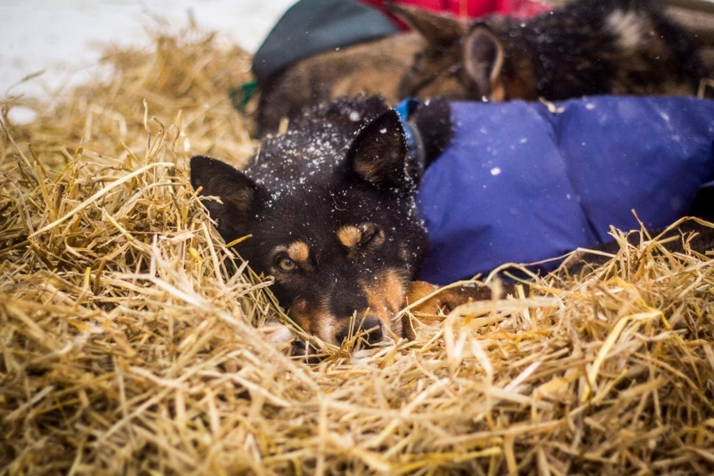 Foto: Hanne Nordskag