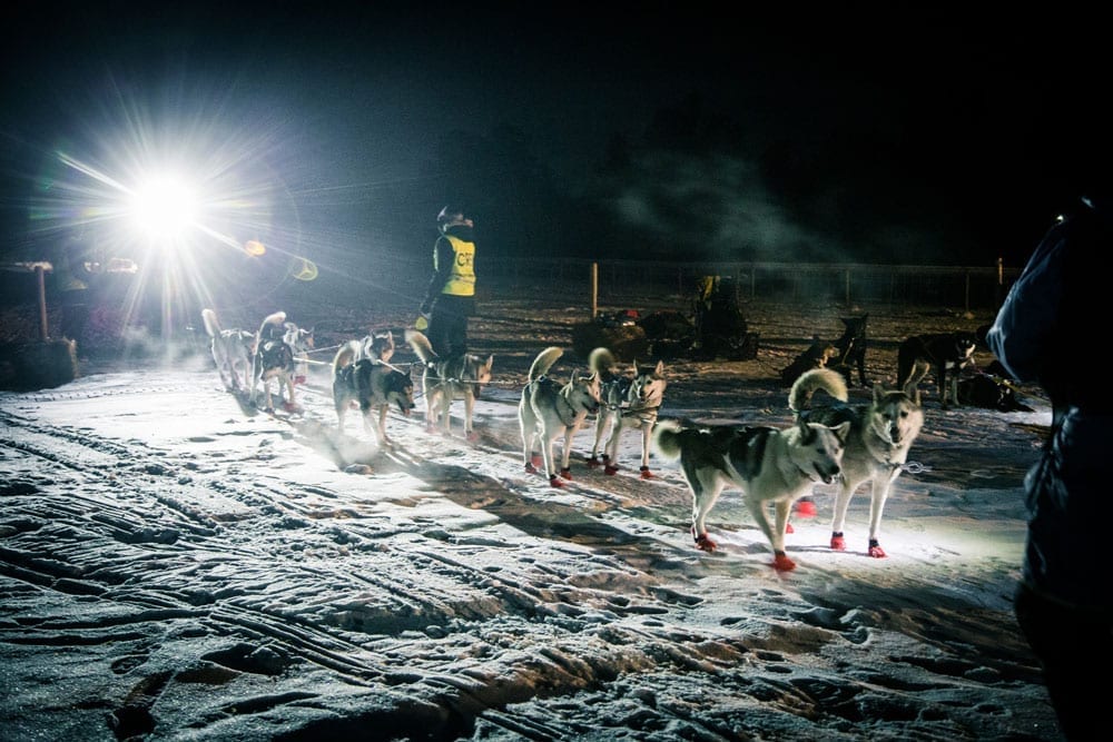 Foto: Alexander Galak