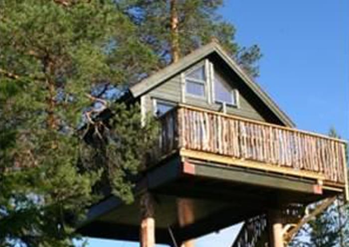 Tretopphytta Kraggbua Tretopphytta Kraggbua