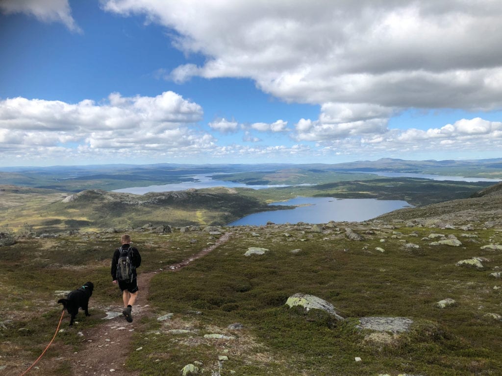 Vigelpiken. Foto: Erik Sandnes Høsøien