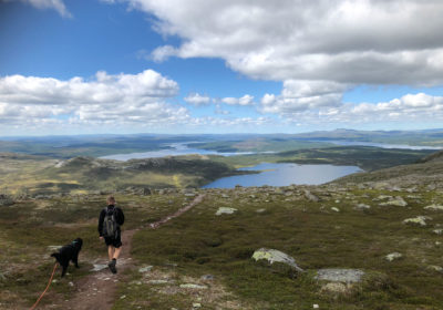 Vigelpiken. Foto: Erik Sandnes Høsøien Vigelpiken. Foto: Erik Sandnes Høsøien