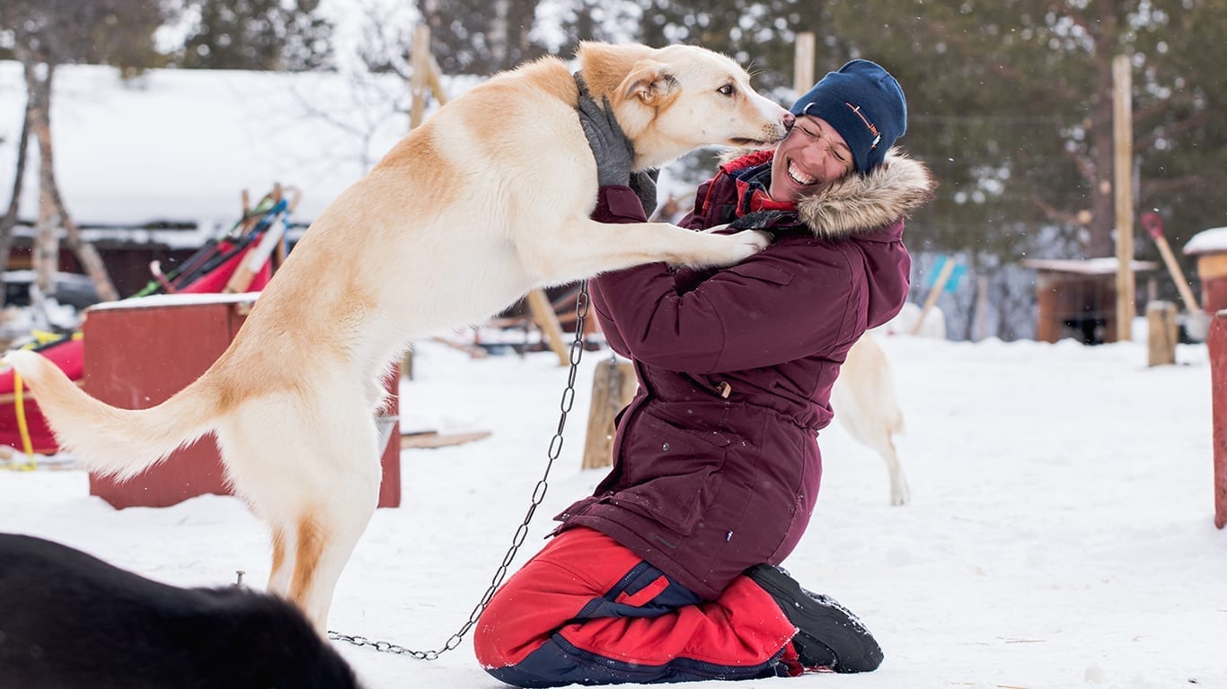 Kristen Kellogg of Borderfree Travels with one of the the sled dogs at the Husky Point Røros Kennel. Foto: Borderfree Travels