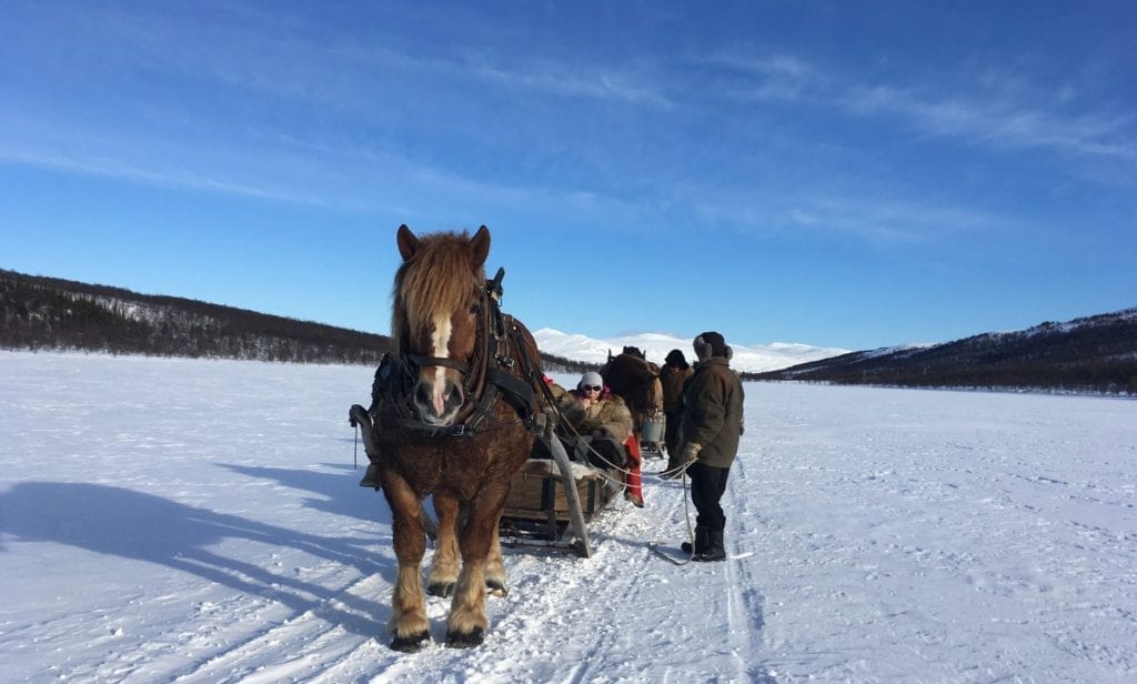 Hest og slede med Vauldalen