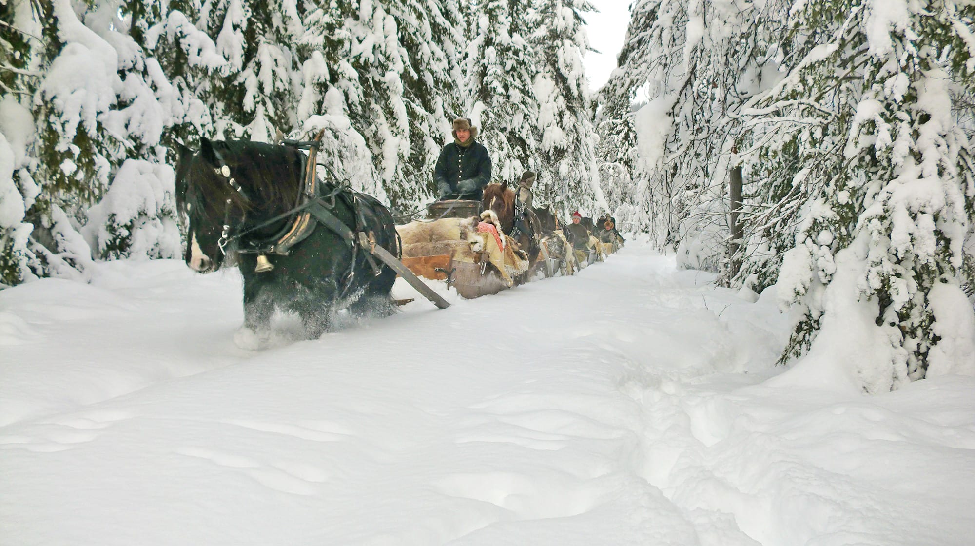 Fron lasskjørerlag.