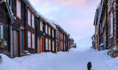 DSC_0696 Foto: Trond E. Haugan