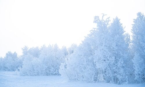 DSC_3313 Foto: Trond E. Haugan